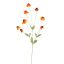 RUDBECKIA SPRAY 88CM ORANGE