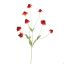 RUDBECKIA SPRAY 88CM RED
