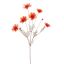 COSMOS SPRAY 92CM ORANGE