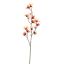 HAMAMELIS 98CM ORANGE