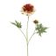 SCABIOSA FLOWER 79CM AMBER