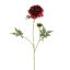 SCABIOSA FLOWER 79CM BORDEAUX