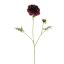 SCABIOSA FLOWER 79CM PURPLE