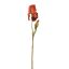 IRIS SPRAY 79CM BROWN