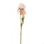 IRIS SPRAY 79CM PEACH