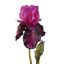 IRIS SPRAY 79CM PURPLE
