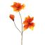 AMARYLLIS 88CM ORANGE