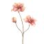 AMARYLLIS 88CM PEACH