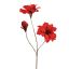 AMARYLLIS 88CM RED