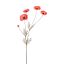 COSMOS SPRAY 92CM RED