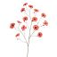 COSMOS SPRAY 124CM RED