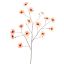 COSMOS SPRAY 124CM SALMON