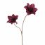 DOUBLE AMARYLLIS 86CM AUBERGINE