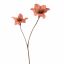 DOUBLE AMARYLLIS 86CM SALMON
