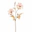 CLEMATIS 65CM BEIGE