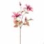 CLEMATIS 65CM LAVENDER
