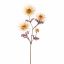 SPIDER GERBERA 65CM CREAM PINK