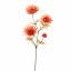 SPIDER GERBERA 65CM ORANGE