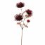 SPIDER GERBERA 65CM RED