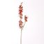 DELPHINIUM 96CM RED