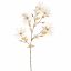 WILD CLEMATIS 145CM ORANGE