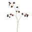 HOUZUKI 92CM BROWN