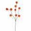 HOUZUKI FRUIT 105CM ORANGE