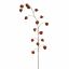 HOUZUKI FRUIT 145CM BROWN