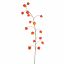 HOUZUKI FRUIT 145CM ORANGE