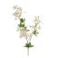 FLOWER SPRAY X 2 CREAM