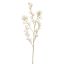 PISTACHIO FLOWER 105CM CREAM
