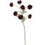 MINI PEONY BRANCH 80CM BURGUNDY