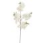 BLOSSOM 100CM CREAM