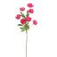 MINI PEONY 80CM BEAUTY