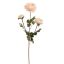 RANUNCULUS 60CM PEACH
