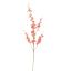 ONCIDIUM 98CM PINK