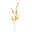 ONCIDIUM 98CM YELLOW