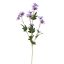 DAISY SPRAY 65CM BLUE