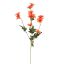 DAISY SPRAY 65CM CORAL