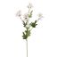 DAISY SPRAY 65CM CREAM