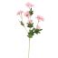 DAISY SPRAY 65CM PINK