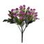 KALANCHOE BUSH X 6 27CM LAVENDER