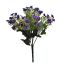 KALANCHOE BUSH X 6 27CMPURPLE