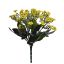 KALANCHOE BUSH X 6 27CM YELLOW