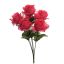 ROSE BUSH X 6 W/GIPSO 34CM BEAUTY