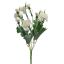CARNATION BUSH X 5 35CM CREAM