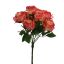 ROSE BUSH X 7 43CM CORAL