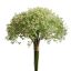 GYPSO BUNDLE X16 CREAM