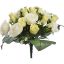 ROSE/ROSEBUD X36 BUSH 42CM CREAM