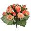 ROSE/ROSEBUD X36 BUSH 42CM SALMON ORANGE